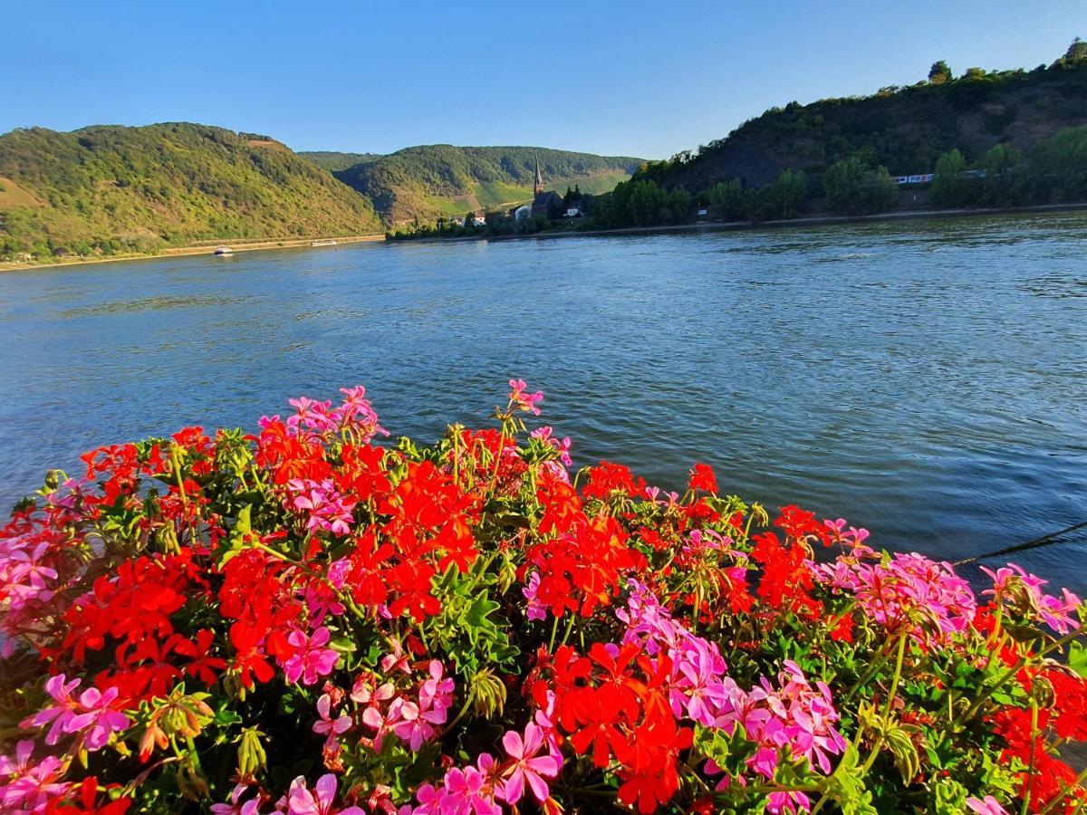 Grosse Wohnung Mit Rheinblick Boppard Exterior foto